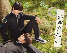 seo技术免费优化